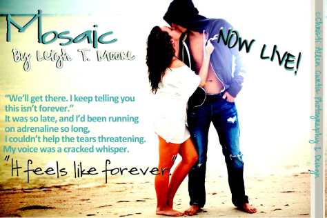 Mosaic Exclusive Teaser 2