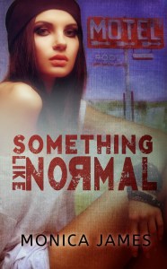 Something Like Normal-cover