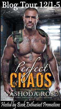 Perfect Chaos Blog Tour Button