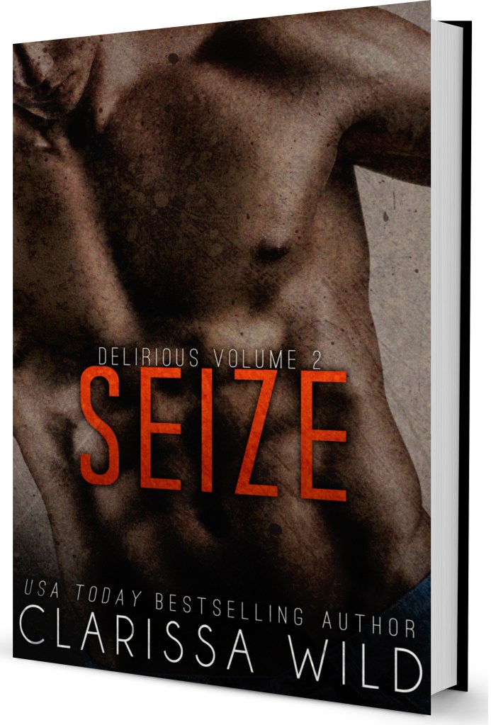 Seize 3d cover
