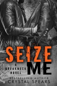 SEIZE ME ebook
