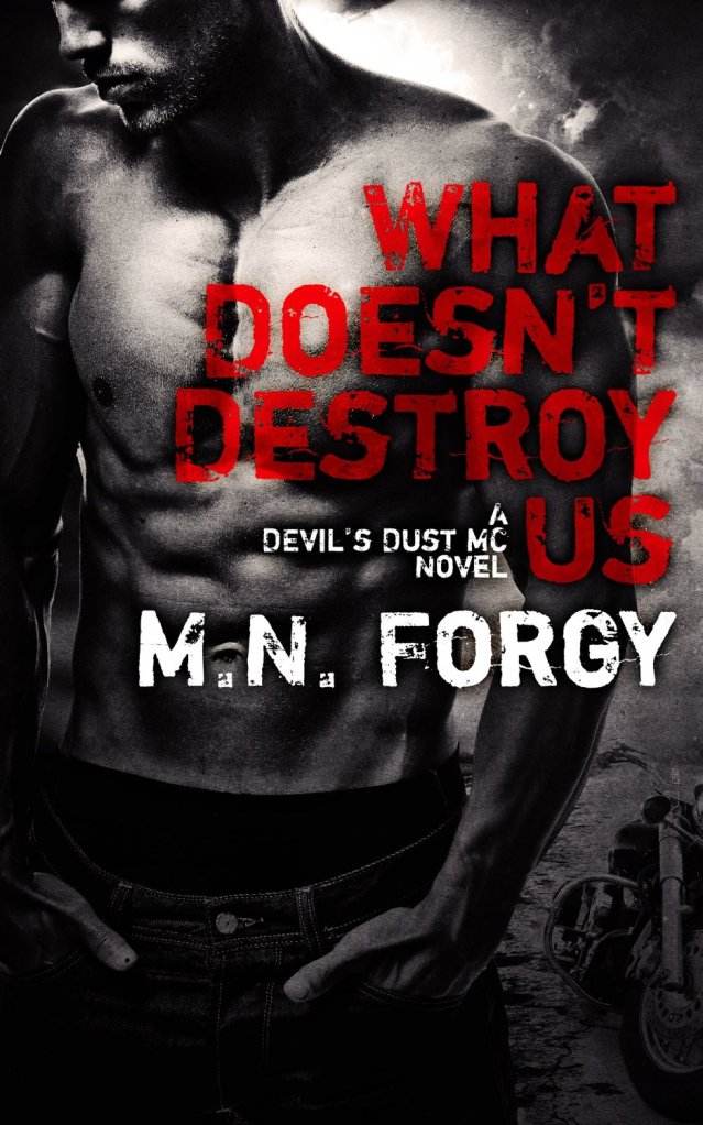 What Doesnt Destroy Us (Devils Dust #1) by M N Forgy Amazon Cover