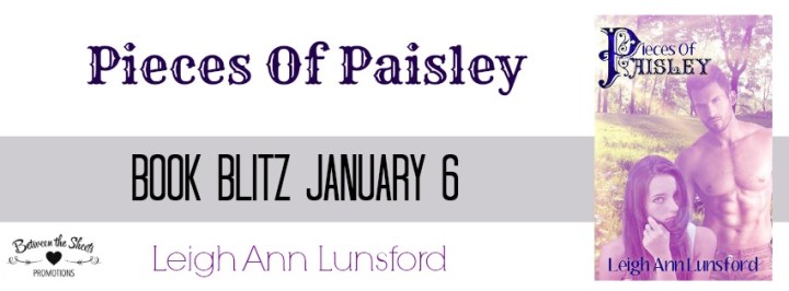 Pieces of Paisley Banner