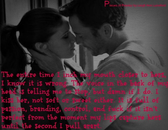 Pieces of Paisley T3