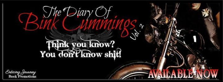 The Diary Of Bink Cummings Vol. 2 Banner