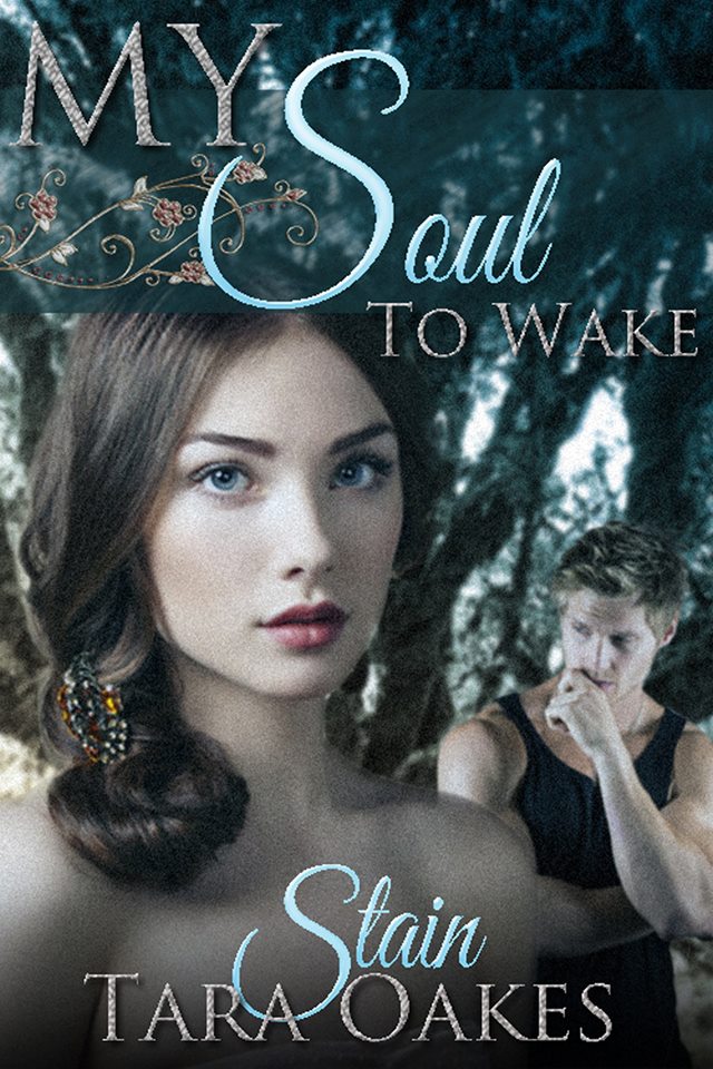 My Soul To Wake Cover