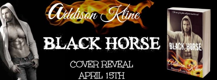 Black Horse Banner