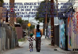 11251447_591977294238492_1941805457_n