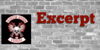 Excerpt