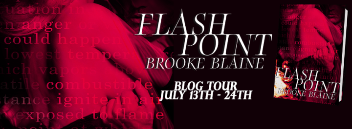 Blog Tour Banner - Flash Point