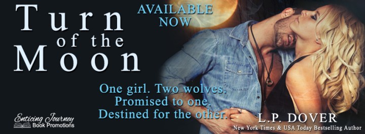 turn of the moon release banner