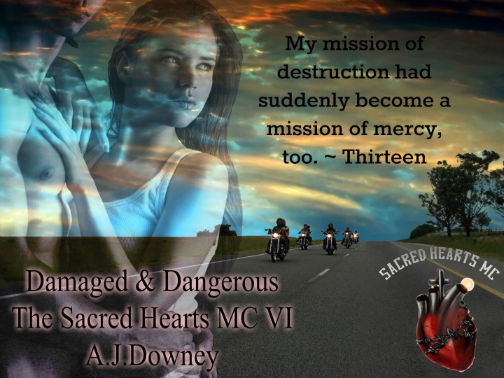 Damaged n Dangerous Teaser9