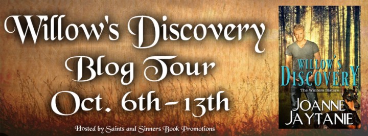 Willow's Discovery Blog Tour