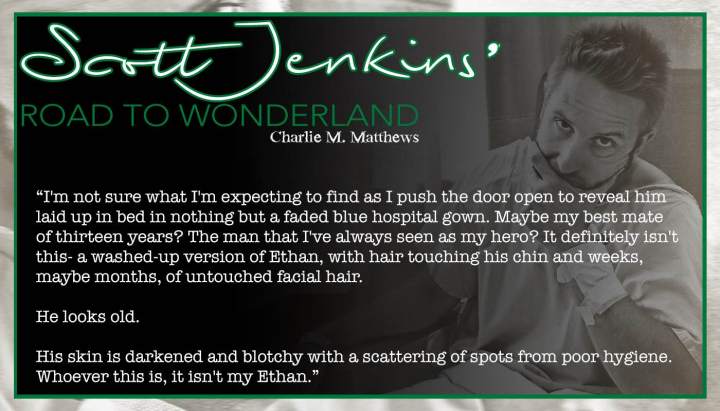 Scott Jenkin's Road To Wonderland T2