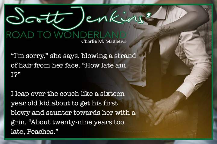 Scott Jenkin's Road To Wonderland T5