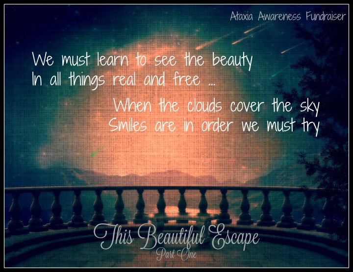 The Beautiful Escape Volume1(4)