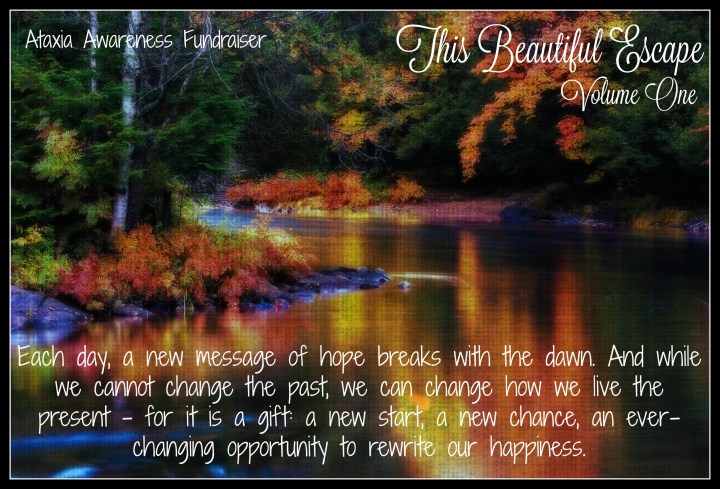 A stream reflecting the vibrant colorful forest foliage on the water surface during the autumn season.  A slow shutter speed was used to capture the water motion.