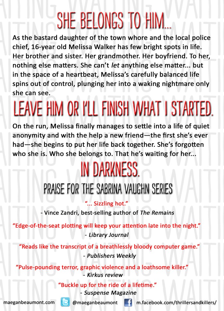 Waiting in Darkness cover back final