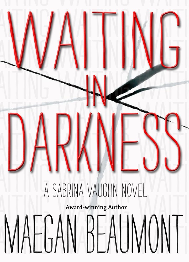 WAITING IN DARKNESS front cover final