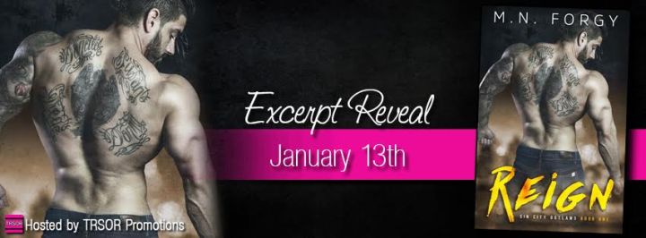 reigh excerpt reveal