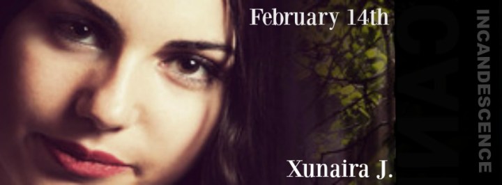 Incandescence banner