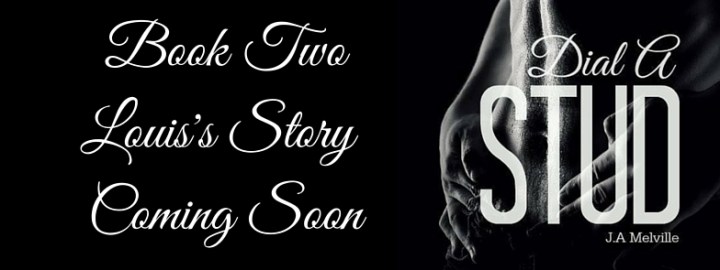 Louis's Story Banner