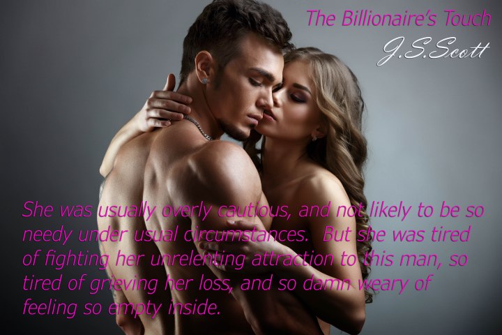 The Billionaire's Touch evan8