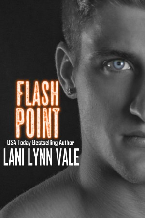 Flash Point Book cover