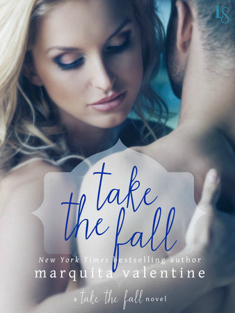 Take the Fall Ebook Cover