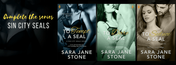 Sin City Seals Banner