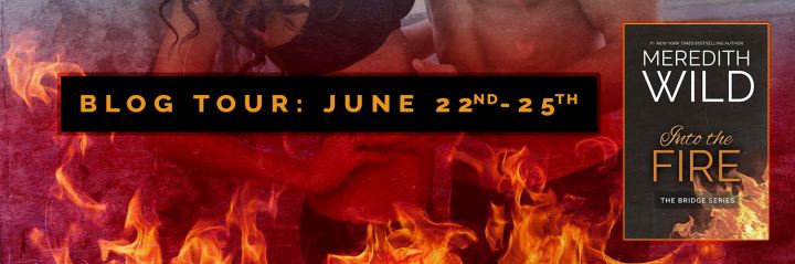 Into The Fire Blog Tour banner