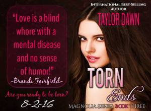 TornEnds Teaser 2