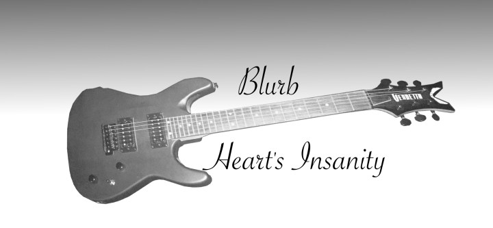 Heart's Insanity MEDIA KIT BLURB