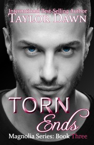 Torn Ends eBook