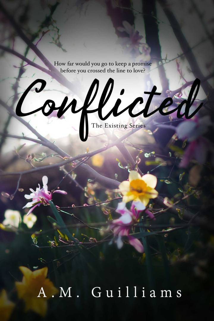 conflicted-ebook