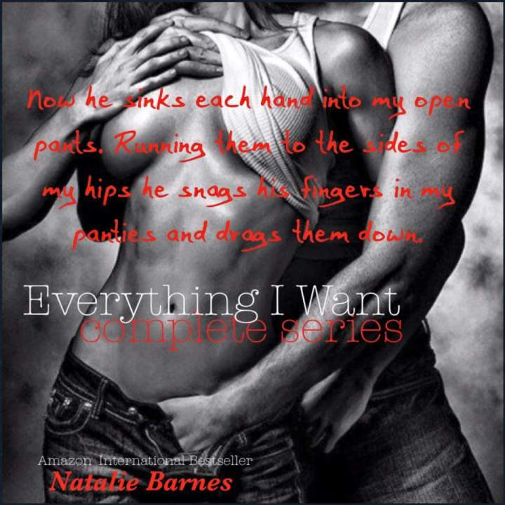 everything-i-want-complete-series-nbarnes-7