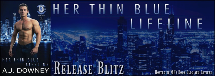 Aerial View Of Chicago