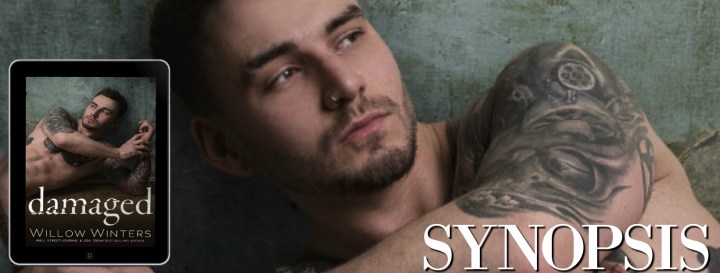 Damaged SYNOPSIS