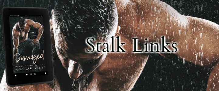 Damaged Box Set Stalk Links