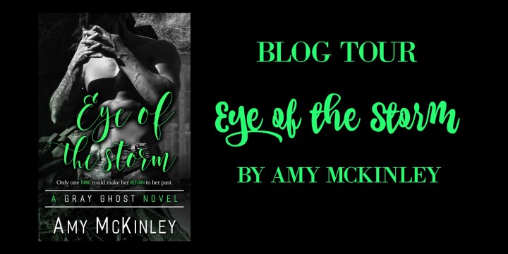 Eye Of The Storm blog tour banner