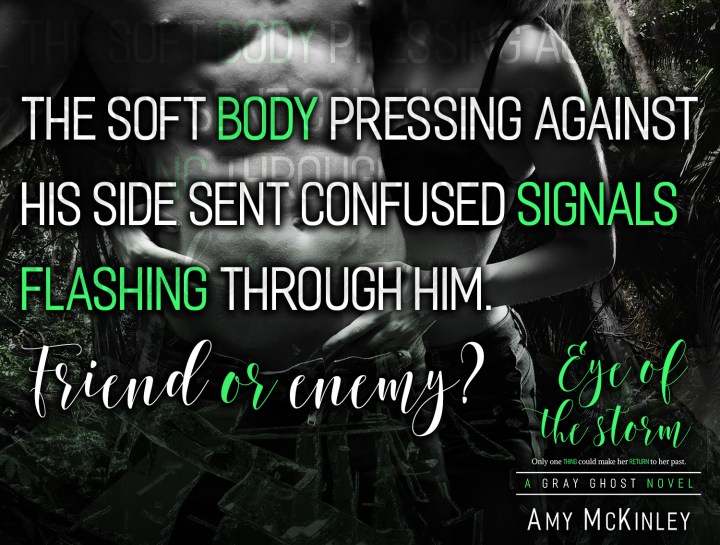 Very Sexy Male Six Pack Abs